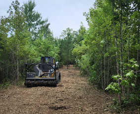 Apleistų sklypų tvarkymas - Aplinkos tvarkymo ir sklypų valymo paslaugos - 3