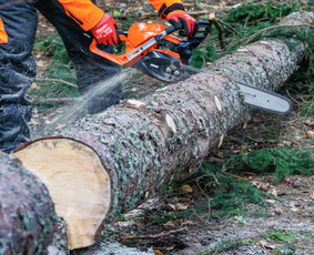 Statybos, apdaila - Aplinkos tvarkymo ir sklypų valymo paslaugos - 3