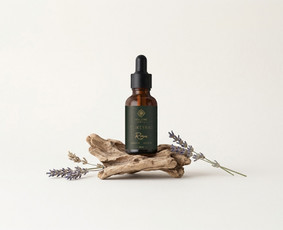 Internetas, IT - Logotipų kūrimas, įmonės įvaizdis, firminio stiliau kurimas - 2