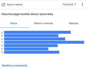 Reklama, dizainas, spauda - Efektyvi Google Ads reklama, konsultacijos - 4