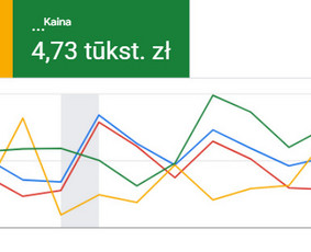 Reklama, dizainas, spauda - Efektyvi Google Ads reklama, konsultacijos - 2