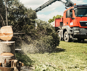 Aplinka, sodas - Aplinkos tvarkymo ir sklypų valymo paslaugos - 1