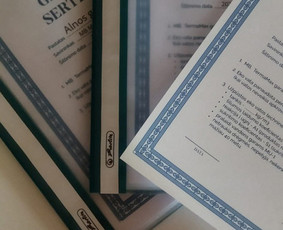 Statybos, apdaila - &Scaron;iltinimas biria vata ir poliuretano putomis - 3