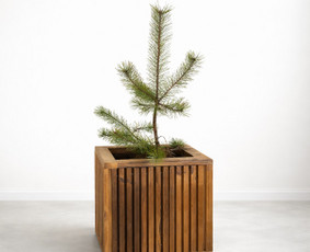 Medžio darbai, staliai - Stalius - medžio darbai - 1