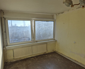 Griovimo darbai šiukšliu išvežimas / Audrius / Darbų pavyzdys ID 4311283