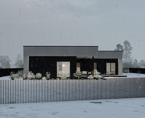 Individualių namų projektavimas, interjero projektavimas / CONCEPTHAUS, MB / Darbų pavyzdys ID 4311591