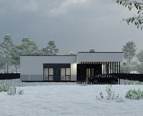 Individualių namų projektavimas, interjero projektavimas / CONCEPTHAUS, MB / Darbų pavyzdys ID 4311595