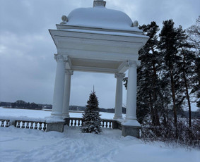 Keleivių pervežimas - Mikroautobuso Mercedes Benz nuoma su vairuotoju - 4