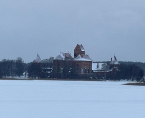Keleivių pervežimas - Mikroautobuso Mercedes Benz nuoma su vairuotoju - 3