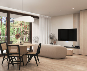 Interjeras, baldai - Interjerai. 3 D vizualizacijos. Klaipėda Neringa Palanga. - 2