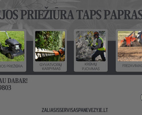 Aplinka, sodas - Apleistų Sklypų Tvarkymas nuo A-z - 3