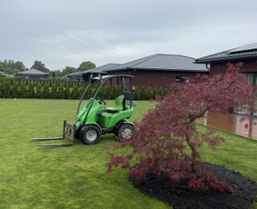 Aplinkos tvarkymas, apželdinimas - Apželdinimo paslaugos ir dekoratyviniai augalai - 1