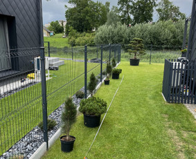 Aplinkos tvarkymas, apželdinimas - Apželdinimo paslaugos ir dekoratyviniai augalai - 4