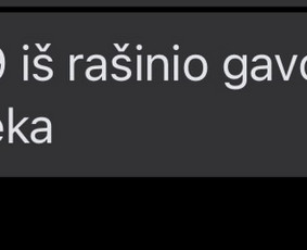 Rusakalbių mokymas lietuvių kalbos - Koncentruotas pasiruo&scaron;imas lietuvių k. egzaminams grupėse - 4