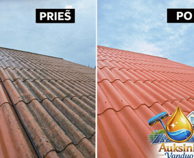 Baseinų valymas - Profesionalus stogų valymas ir plovimas &Scaron;iauliuose ir +200km - 3