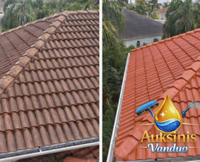 Baseinų valymas - Profesionalus stogų valymas ir plovimas &Scaron;iauliuose ir +200km - 1