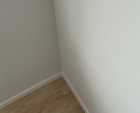 Visi išores ir vidaus darbai / Tomas Petravičius / Darbų pavyzdys ID 4315325