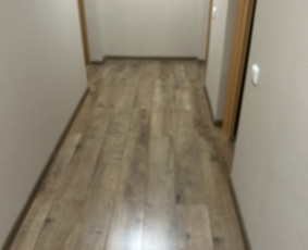 Visi išores ir vidaus darbai / Tomas Petravičius / Darbų pavyzdys ID 4315405