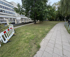 Vejos priežiūra, įrengimas - Žolės pjovimas, skarifikavimas , trę&scaron;imas, pur&scaron;kimas - 2