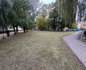 Vejos priežiūra, įrengimas - Žolės pjovimas, skarifikavimas , trę&scaron;imas, pur&scaron;kimas - 1