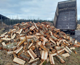 Tradiciniai amatai - Skaldytos kalademis malkos - 3