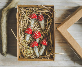 Keramikai - Murdeko keramikos studija - 1