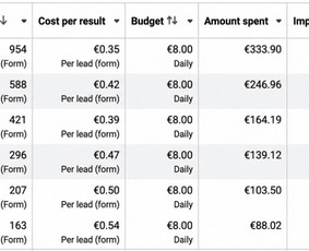Facebook reklama - Facebook ir Instagram (Meta) reklama + Lead Gen + Stategija - 4