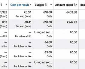 Facebook reklama - Facebook ir Instagram (Meta) reklama + Lead Gen + Stategija - 3