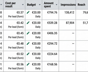 Facebook reklama - Facebook ir Instagram (Meta) reklama + Lead Gen + Stategija - 2