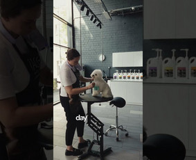 Reklamos paslaugos - Facebook ir Instagram (Meta) reklama + Lead Gen + Stategija - 2