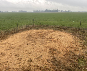 Medžių genėjimas, pjovimas - Frezuojam ,smulkinam kelmus sakas - 3