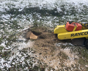 Medžių genėjimas, pjovimas - Frezuojam ,smulkinam kelmus sakas - 2