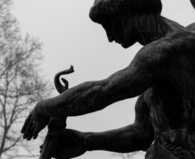 Architektūros, interjero fotografavimas - Fotografija - 1