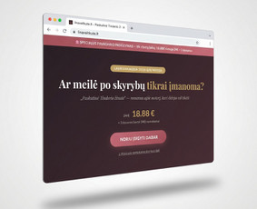 Interneto svetainių kūrimas - Svetainė tavo verslui per 3&ndash;5 dienas - 4