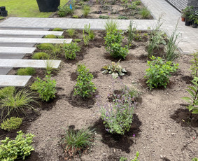 Alpinariumų, gėlynų įrengimas - Apželdinimo paslaugos ir dekoratyviniai augalai - 1