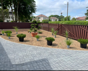 Apželdinimo konsultacija - Apželdinimo paslaugos ir dekoratyviniai augalai - 1