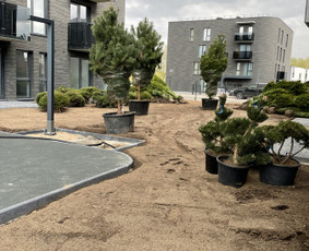 Aplinka, sodas - Apželdinimo paslaugos ir dekoratyviniai augalai - 4