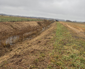 Tvarkingi Sklypai Panevėžyje / Egidijus Ablėnas / Darbų pavyzdys ID 4318309