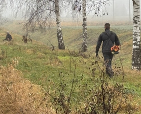 Tvarkingi Sklypai Panevėžyje / Egidijus Ablėnas / Darbų pavyzdys ID 4318311