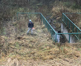 Tvarkingi Sklypai Panevėžyje / Egidijus Ablėnas / Darbų pavyzdys ID 4318313