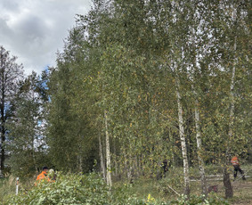 Tvarkingi Sklypai Panevėžyje / Egidijus Ablėnas / Darbų pavyzdys ID 4318335