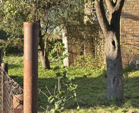 Tvarkingi Sklypai Panevėžyje / Egidijus Ablėnas / Darbų pavyzdys ID 4318345