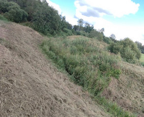 Tvarkingi Sklypai Panevėžyje / Egidijus Ablėnas / Darbų pavyzdys ID 4318349