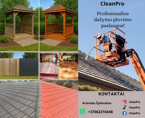 Stogo dažymas - Stogo fasado trinkeliu plovimas dažymas - 1