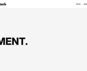 Programuotojai - Svetainių kūrimas, atnaujinimas ir priežiūra - 2