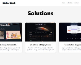 Programuotojai - Svetainių kūrimas, atnaujinimas ir priežiūra - 3