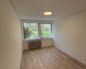 Visi vidaus statybų darbai / Bustas360 / Darbų pavyzdys ID 4319155