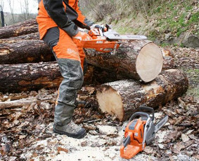 Kitos kategorijos - Malkų pjovimas - 1