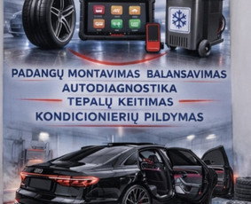 Tepalų keitimas - Padangų montavimas,balansavimas,kondicionierių pildymas - 1