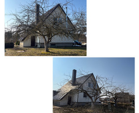 Aplinkos tvarkymas, apželdinimas - Vaismedziu genejimas/skarifikavimas - 3